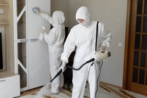 24/7 Emergency Odor Removal experts in Sandy Spring, MD